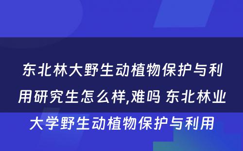 东北林大野生动植物保护与利用研究生怎么样,难吗 东北林业大学野生动植物保护与利用