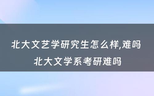 北大文艺学研究生怎么样,难吗 北大文学系考研难吗