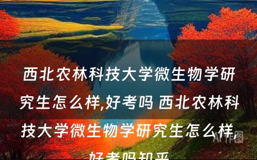 西北农林科技大学微生物学研究生怎么样,好考吗 西北农林科技大学微生物学研究生怎么样,好考吗知乎