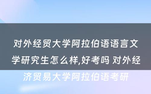 对外经贸大学阿拉伯语语言文学研究生怎么样,好考吗 对外经济贸易大学阿拉伯语考研