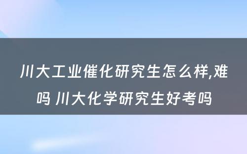 川大工业催化研究生怎么样,难吗 川大化学研究生好考吗