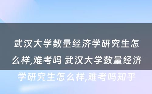 武汉大学数量经济学研究生怎么样,难考吗 武汉大学数量经济学研究生怎么样,难考吗知乎