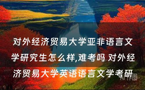 对外经济贸易大学亚非语言文学研究生怎么样,难考吗 对外经济贸易大学英语语言文学考研