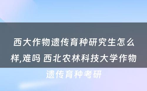 西大作物遗传育种研究生怎么样,难吗 西北农林科技大学作物遗传育种考研