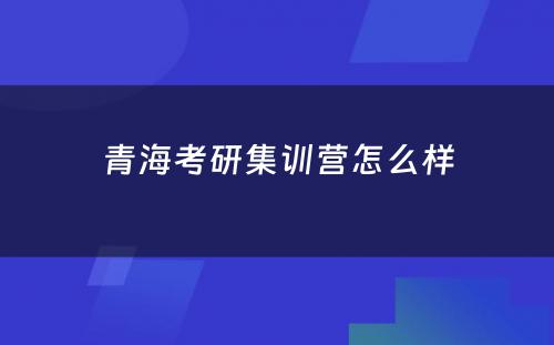 青海考研集训营怎么样