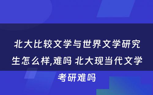 北大比较文学与世界文学研究生怎么样,难吗 北大现当代文学考研难吗