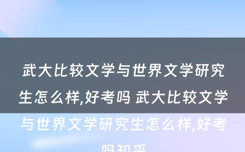 武大比较文学与世界文学研究生怎么样,好考吗 武大比较文学与世界文学研究生怎么样,好考吗知乎