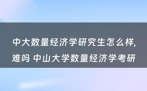 中大数量经济学研究生怎么样,难吗 中山大学数量经济学考研