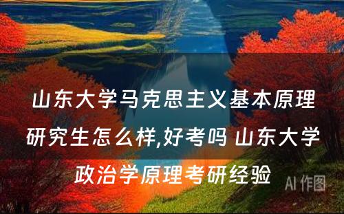 山东大学马克思主义基本原理研究生怎么样,好考吗 山东大学政治学原理考研经验