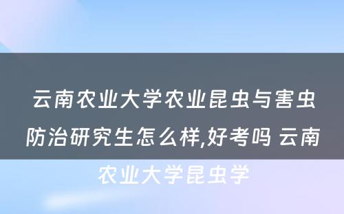 云南农业大学农业昆虫与害虫防治研究生怎么样,好考吗 云南农业大学昆虫学