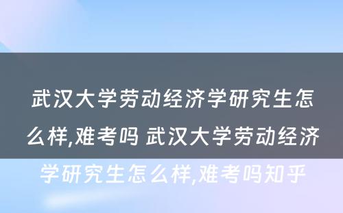 武汉大学劳动经济学研究生怎么样,难考吗 武汉大学劳动经济学研究生怎么样,难考吗知乎