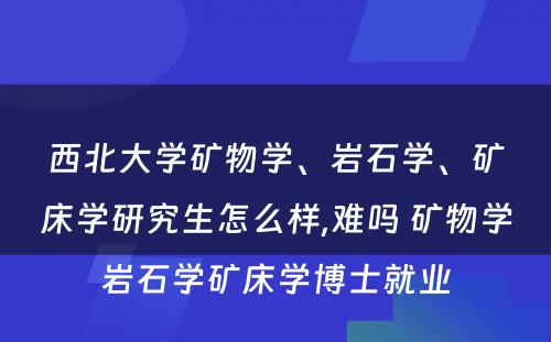 西北大学矿物学、岩石学、矿床学研究生怎么样,难吗 矿物学岩石学矿床学博士就业