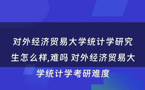 对外经济贸易大学统计学研究生怎么样,难吗 对外经济贸易大学统计学考研难度