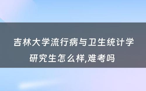 吉林大学流行病与卫生统计学研究生怎么样,难考吗 