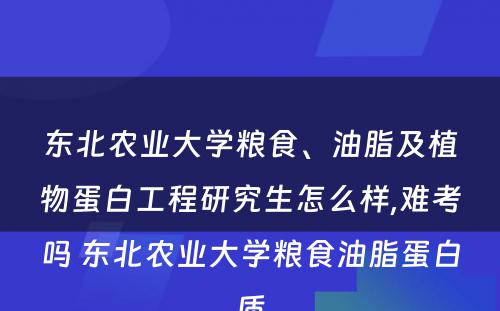 东北农业大学粮食、油脂及植物蛋白工程研究生怎么样,难考吗 东北农业大学粮食油脂蛋白质