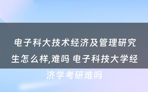 电子科大技术经济及管理研究生怎么样,难吗 电子科技大学经济学考研难吗