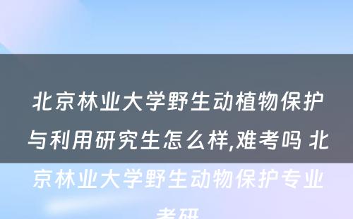 北京林业大学野生动植物保护与利用研究生怎么样,难考吗 北京林业大学野生动物保护专业考研