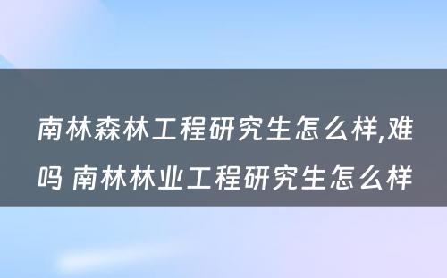 南林森林工程研究生怎么样,难吗 南林林业工程研究生怎么样