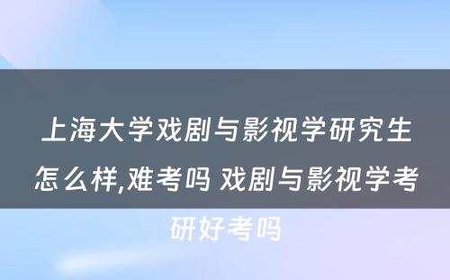 上海大学戏剧与影视学研究生怎么样,难考吗 戏剧与影视学考研好考吗