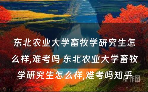 东北农业大学畜牧学研究生怎么样,难考吗 东北农业大学畜牧学研究生怎么样,难考吗知乎