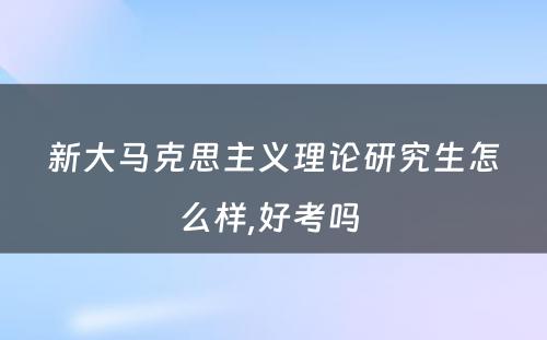 新大马克思主义理论研究生怎么样,好考吗 