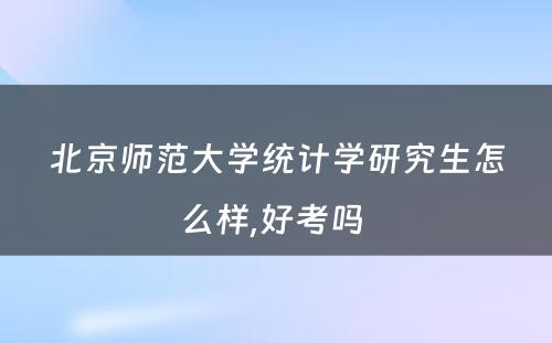 北京师范大学统计学研究生怎么样,好考吗 