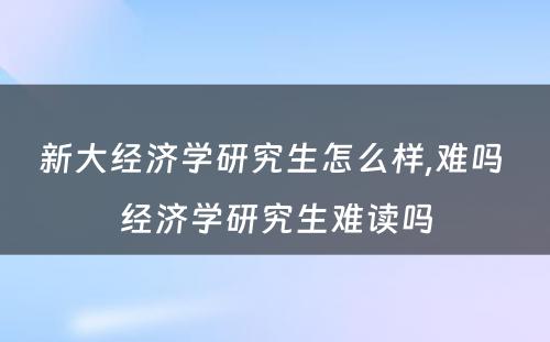 新大经济学研究生怎么样,难吗 经济学研究生难读吗