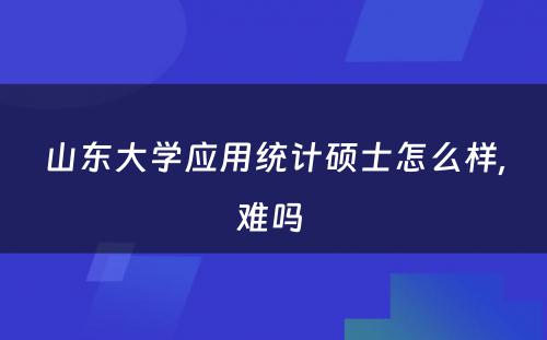 山东大学应用统计硕士怎么样,难吗 