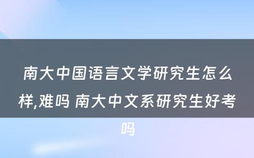 南大中国语言文学研究生怎么样,难吗 南大中文系研究生好考吗