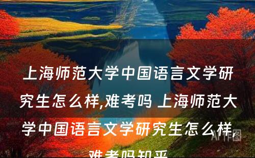 上海师范大学中国语言文学研究生怎么样,难考吗 上海师范大学中国语言文学研究生怎么样,难考吗知乎