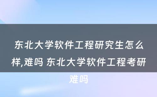 东北大学软件工程研究生怎么样,难吗 东北大学软件工程考研难吗