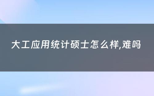 大工应用统计硕士怎么样,难吗 