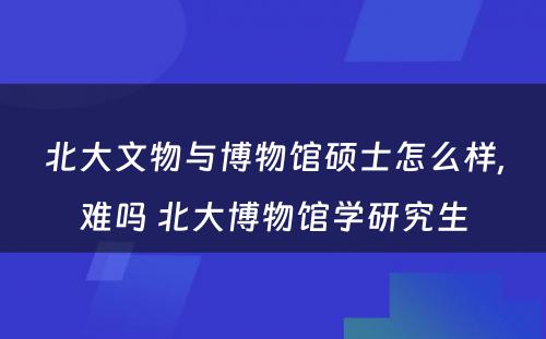 北大文物与博物馆硕士怎么样,难吗 北大博物馆学研究生