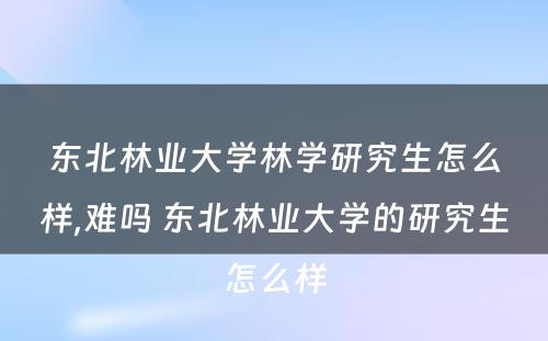 东北林业大学林学研究生怎么样,难吗 东北林业大学的研究生怎么样