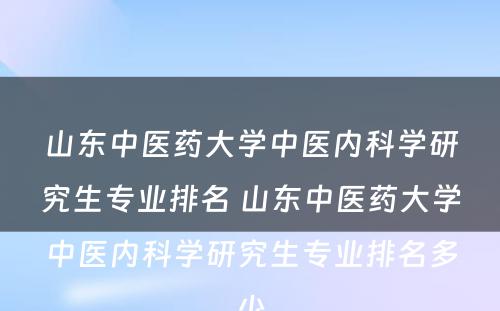 山东中医药大学中医内科学研究生专业排名 山东中医药大学中医内科学研究生专业排名多少