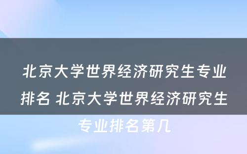 北京大学世界经济研究生专业排名 北京大学世界经济研究生专业排名第几