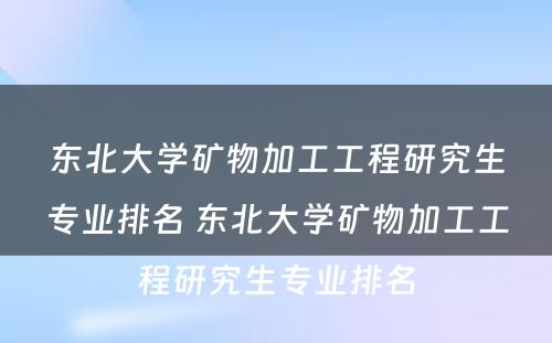 东北大学矿物加工工程研究生专业排名 东北大学矿物加工工程研究生专业排名