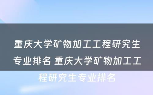 重庆大学矿物加工工程研究生专业排名 重庆大学矿物加工工程研究生专业排名