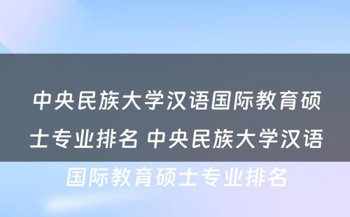 中央民族大学汉语国际教育硕士专业排名 中央民族大学汉语国际教育硕士专业排名