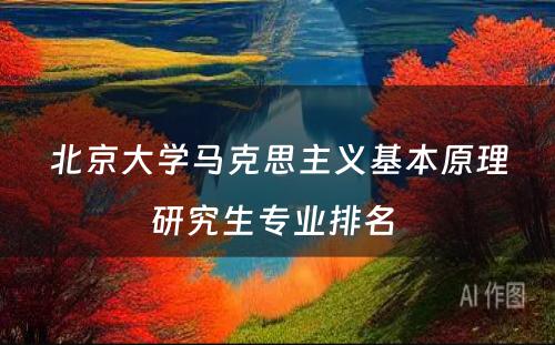 北京大学马克思主义基本原理研究生专业排名 