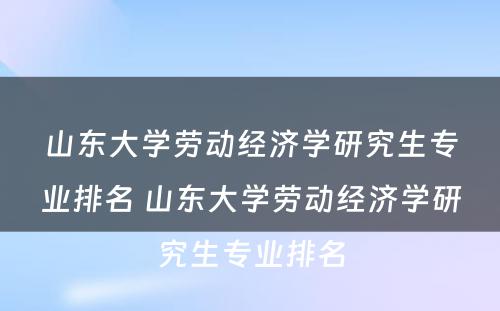 山东大学劳动经济学研究生专业排名 山东大学劳动经济学研究生专业排名