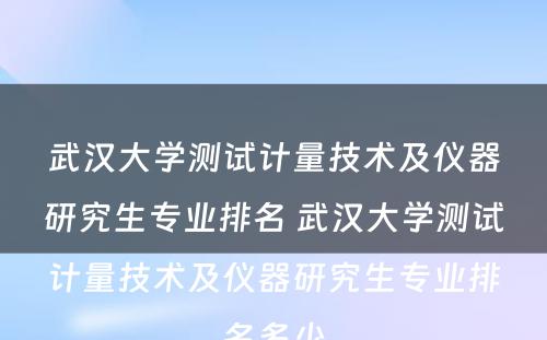 武汉大学测试计量技术及仪器研究生专业排名 武汉大学测试计量技术及仪器研究生专业排名多少