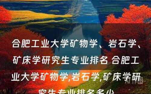 合肥工业大学矿物学、岩石学、矿床学研究生专业排名 合肥工业大学矿物学,岩石学,矿床学研究生专业排名多少