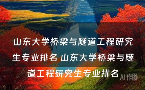 山东大学桥梁与隧道工程研究生专业排名 山东大学桥梁与隧道工程研究生专业排名