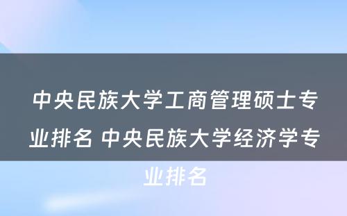 中央民族大学工商管理硕士专业排名 中央民族大学经济学专业排名