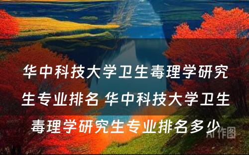 华中科技大学卫生毒理学研究生专业排名 华中科技大学卫生毒理学研究生专业排名多少