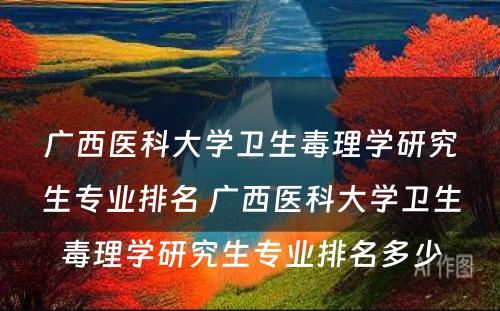 广西医科大学卫生毒理学研究生专业排名 广西医科大学卫生毒理学研究生专业排名多少