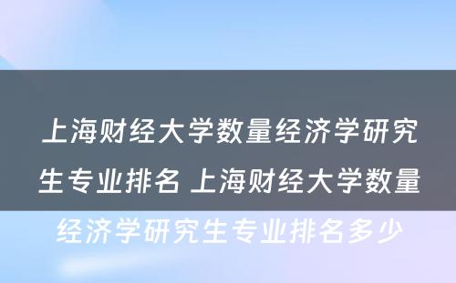 上海财经大学数量经济学研究生专业排名 上海财经大学数量经济学研究生专业排名多少