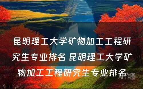 昆明理工大学矿物加工工程研究生专业排名 昆明理工大学矿物加工工程研究生专业排名