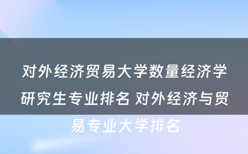 对外经济贸易大学数量经济学研究生专业排名 对外经济与贸易专业大学排名